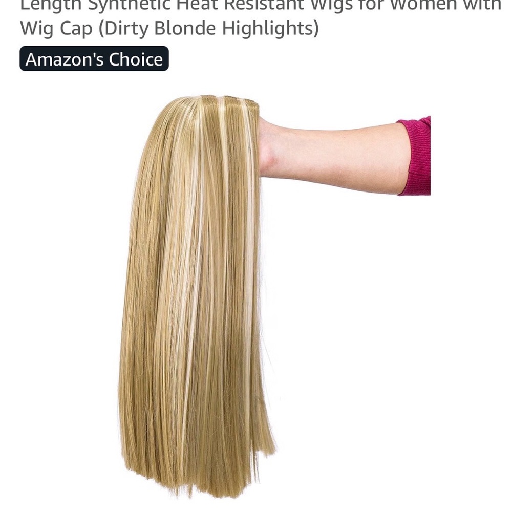 Dirty Blonde Highlight Sleek Straight Wig new unworn costume or everyday wear